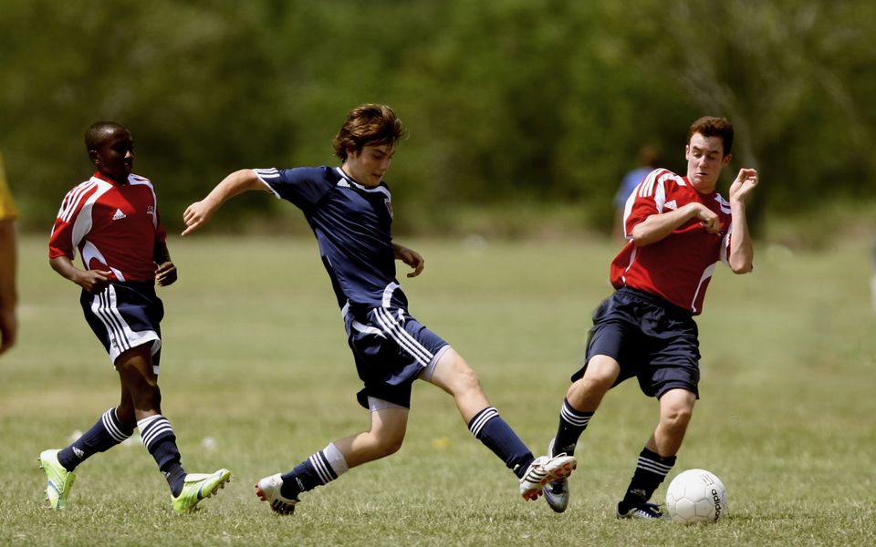 财富树企业官网 - 手机版官网